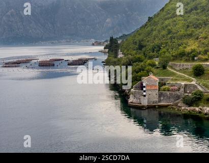 Bucht von Kotor, Montenegro - 2. Juli 2024: Kirche unserer Lieben Frau von Engeln mit einem offenen Meeresbecken-Aquakulturunternehmen dahinter. Grüne Berghänge Stockfoto