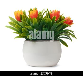 Künstliche Anordnung der Topfpflanze aus hellorangen Tulpenblüten und langen grünen Blättern isolierten weißen Hintergrunds Stockfoto