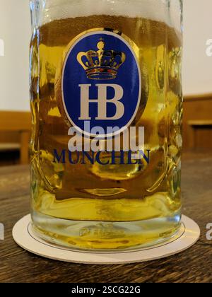Ein halbes Glas untergäriges Hofbräu-Originalbier im bayerischen Hofbrähaus in München. Stockfoto