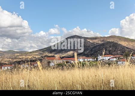 Dorf Kirki Evros Griechenland erholt sich nach einem massiven Waldbrand, Wald- und Bergrestaurierung, Umweltkatastrophe, Berg Parnitha, Rodopi, Evia, Stockfoto