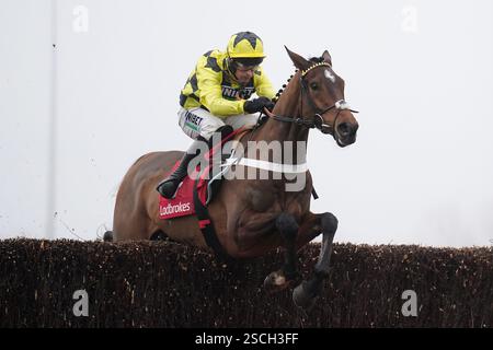 Dateifoto vom 27.12.2024 von Sir Gino, der am Samstag bei der William Hill Best Odds Guaranted Game Spirit Chase in Newbury nicht antreten wird. Ausgabedatum: Freitag, 7. Februar 2025. Stockfoto