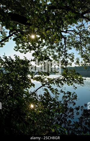 Sonnenstern durch die Blätter einer Eiche, reflektiert in einem Teich Stockfoto