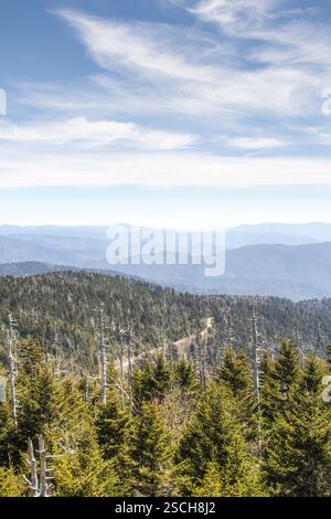 Mountain vista; tote Bäume, gesunde Bäume und eine gewundene Straße. Schäden durch sauren Regen? Stockfoto