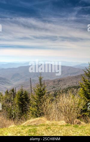 panoramablick auf die Berge. Überlagerte Gipfel, Bäume und Gras. Die Schönheit der Natur. Stockfoto
