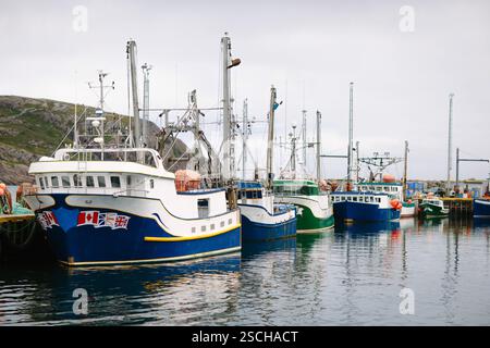Farbenfrohe Fischerboote liegen im ruhigen Wasser des St. John's Harbour in Neufundland & Labrador, Kanada, mit felsigen Hügeln im Hintergrund unter einem Stockfoto