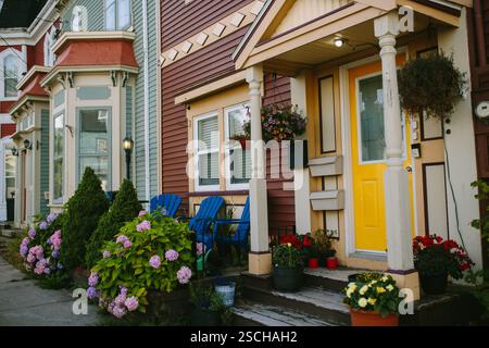 Bezaubernde, farbenfrohe Reihenhäuser in St. John's, Neufundland und Labrador mit leuchtenden Blumen dekoriert. Die malerische Architektur, die typisch für die Gegend ist, mit Stockfoto