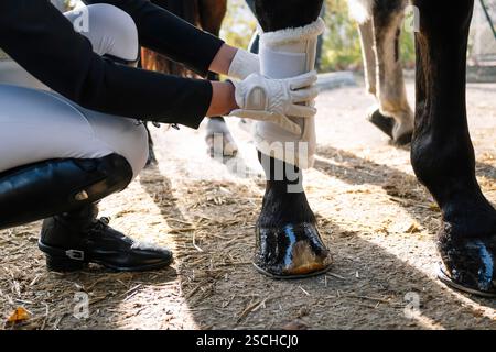 Nahaufnahme einer Person in Reitkleidung, die vor einer klassischen Dressurveranstaltung schützende Beinhüllungen auf einem Pferd trägt und dabei Präzision und Sorgfalt betont Stockfoto