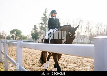 Ein erfahrener Dressurreiter in formeller Kleidung führt ein Pferd anmutig in eine sonnige Reitarena und zeigt die Kunst des klassischen Reitens unter klarem SK Stockfoto