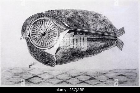 MAX ERNST, (1891-1976) Titel: L'Evade, der Flüchtige, Illustration 30 aus der Reihe Naturgeschichte, Fotogravur, 1926 Stockfoto