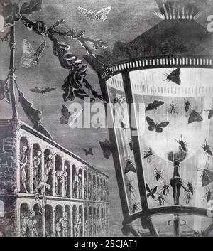 MAX ERNST, (1891–1976) Titel: Le Fantôme de la Repopulation, der Geist der Repopulation, Illustration einer Collage mit dem Titel et les Papillons se mettent Stockfoto