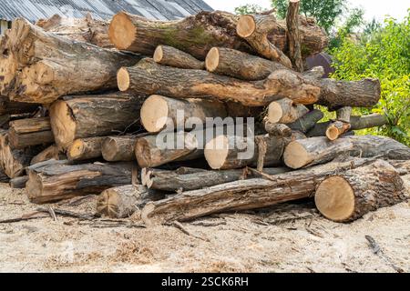 Gesägte Baumstämme in einem Sägewerk im Freien. Holzstapel mit Holzschnitt. Stockfoto