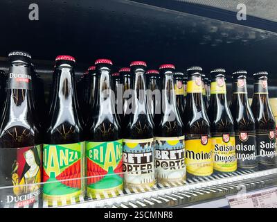 Kiew, Ukraine - 4. Februar 2025: Verschiedene Craft-Bier-Flaschen ordentlich angeordnet und in einem gekühlten Geschäft ausgestellt. Stockfoto