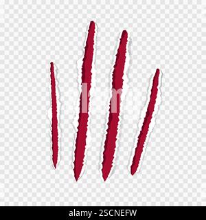 Katzenklauen rote Kratzer, gerissene Papierkante isoliert auf transparentem Hintergrund realistisch. Strukturierte Löcher mit beschädigter Oberfläche. . Vektorabbildung Stock Vektor