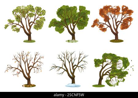 Verschiedene Vektoreichen. Set aus verschiedenen Wald- oder Holzpflanzen. Stamm mit Laub und Zweigen, Krone. Natur und Garten, Biologie, Botanik. Stock Vektor