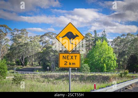Ein gelbes Warnschild für Känguru entlang einer Landstraße in Australien, umgeben von Bäumen und Grün an einem sonnigen Tag, das die Tierwelt hervorhebt. Stockfoto