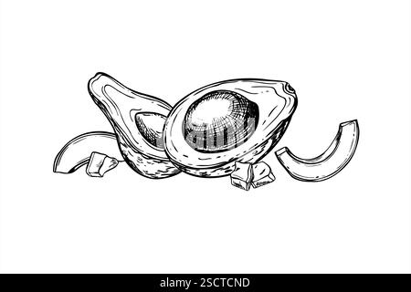 Avocado-Vektor-Illustration mit schwarzen Tinten gemalt. Zur Hälfte mit Samen und Schnitten der aktuellen Frucht realistische grafische Skizze. Zeichnung wird geätzt Stock Vektor