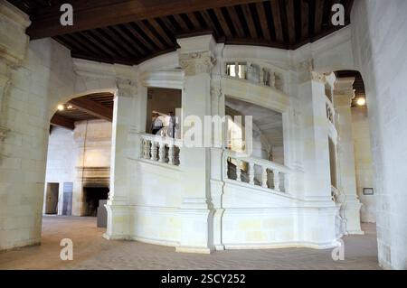 Doppelspiraltreppe, innen, Château de Chambord, Frankreich, Europa, UNESCO-Weltkulturerbe Stockfoto