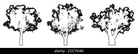 Setzen oder Sammeln von Olivenbäumen als schwarze Linie, die Silhouette auf weißem Hintergrund zeichnet. Konzept oder konzeptueller Vektor für Natur, Planet, Ökologie Stock Vektor