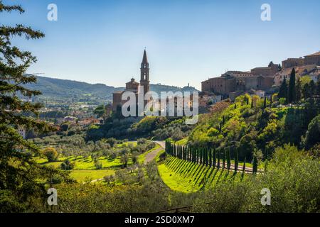 Historische Stadt Castiglion Fiorentino und die Kirche Collegiata di San Giuliano. Schloss Montecchio im Hintergrund. Provinz Arezzo, Tuscany reg Stockfoto