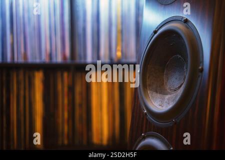 Nahaufnahme des modernen Woofers, hifi-Heimlautsprechers mit wunderschönem Holzhintergrund in Vinylplatten in Regalen. Stockfoto