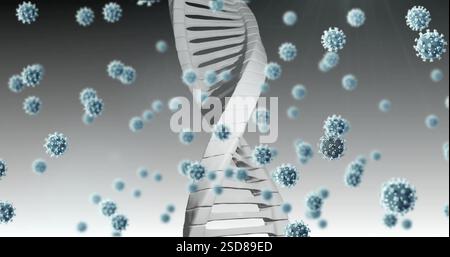 Bild von Viruszellen und dna-Strang auf weißem Hintergrund Stockfoto