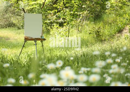 Staffelei mit leerer Leinwand und Malmaschinen in malerischer Landschaft Stockfoto