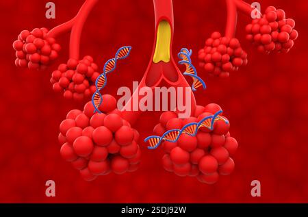 Gentherapie bei zystischer Fibrose (CF) - isometrische 3D-Darstellung Stockfoto