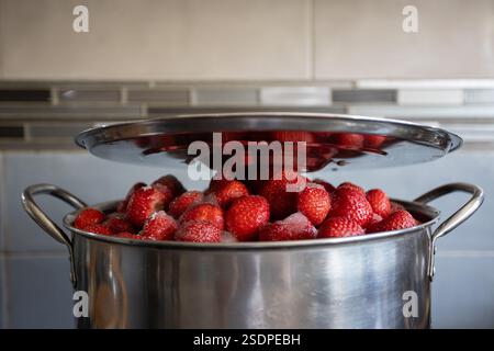 Frische, reife Erdbeeren werden in einem glänzenden Edelstahl-Topf zum köstlichen Kochen zubereitet Stockfoto