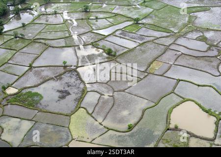 Eine Luftaufnahme von Ackerland, das von einer Wasserflut umgeben ist, schaukelte am 26. Juli 2005 in Raigad, Maharashtra, Indien Stockfoto