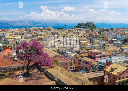 Panoramablick auf Korfu-Stadt, Griechenland, mit historischer Architektur und der berühmten alten Festung unter einem hellblauen Himmel. Stockfoto