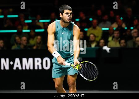 Rotterdam - Carlos Alcaraz während des ABN AMRO Open Spiels zwischen Carlos Alcaraz und Pedro Martinez . Das Spiel findet am fünften Tag der 52. Ausgabe der ABN AMRO Open in Ahoy am 7. Februar 2025 in Rotterdam, Niederlande, statt. (VK Sportphoto/Danny de Groot) Stockfoto