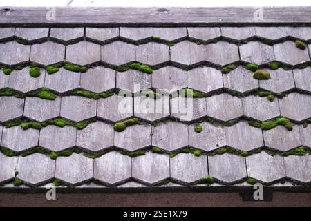 Holzdach mit Moos drauf Stockfoto