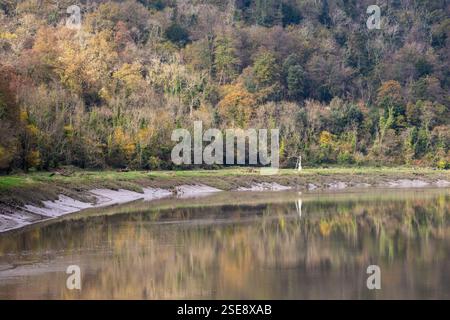 Bäume zeigen herbstliche Farben im Leigh Woods National Nature Reserve auf der anderen Seite der Flussmündung des Flusses Avon von von Bristol in England. Stockfoto