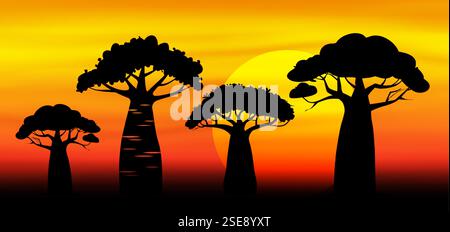 Sonnenuntergang in Afrika, Hintergrund der Savannenlandschaft. Silhouette der Baobab-Bäume. Natur, exotische Pflanze, afrikanische Banner Vektor-Illustration Stock Vektor