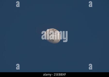 Vollmond Stockfoto