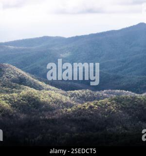 Hügelige, bewaldete Berge unter Nebel mit mehrschichtigen Hügeln. Stimmungsvolle Naturlandschaft mit üppigem Grün, sanften Schatten und ruhiger Schönheit. Stockfoto
