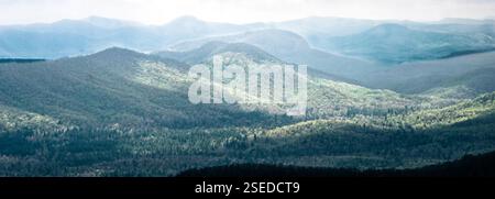 Panoramablick auf sanfte, bewaldete Berge mit Nebelschichten und sanftem Licht, die eine ruhige Landschaft schaffen. Stockfoto