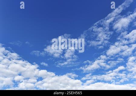 Cumulus Wolken, bewölkter Himmel, Formatfüllung, freier Text, Rosslare, Wexford, Irland, Europa Stockfoto