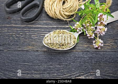 Thymian Trocknen in einem Metalllöffel, ein Bündel von frischen Kräutern mit rosa Blumen, ein knäuel Garn und Schere auf dem Hintergrund einer Holzplatte Stockfoto