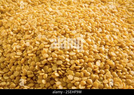 Korn, Haufen gespaltener gelber Linsen oder Arhar dal lens culinaris Stockfoto