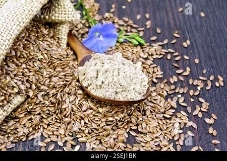Leinsamen Mehl in einem Löffel, Samen in einen Beutel und auf einem Tisch, blau Bettwäsche Blume auf dem Hintergrund einer dunklen Holzplatte Stockfoto