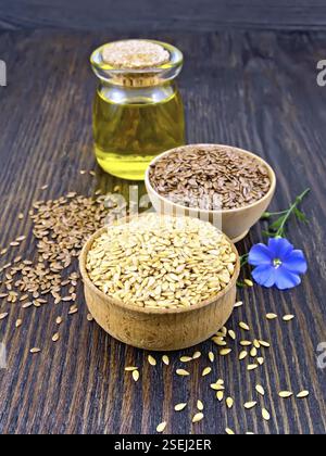 Bettwäsche Samen sind Weiß und Braun in zwei Schalen, Leinöl im Glas und blaue Blume auf einem Holzbrett Hintergrund Stockfoto