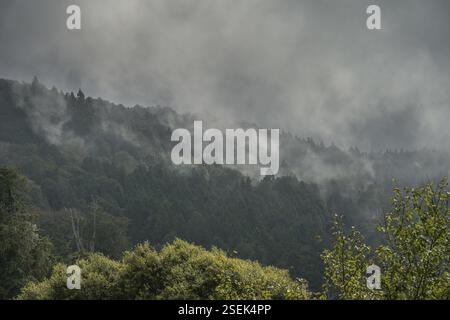 Nebel im Tal, Felsen, Berglandschaft, Mittelgebirge in Alishan Township, Chiayi County, Taiwan, Asien Stockfoto