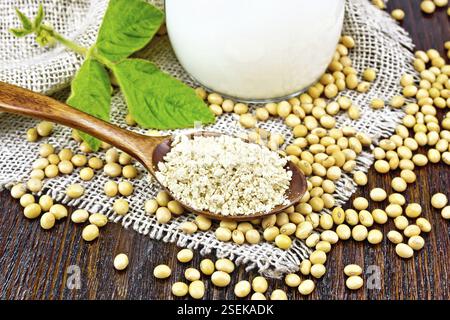 Soja Mehl in einen Löffel und Milch in Glas Krug, Sojabohnen und ein Blatt auf Serviette von sackleinen auf Holzbrett Hintergrund Stockfoto