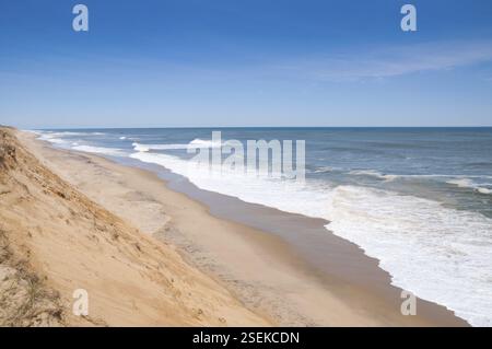 Sanddünen und das Meer am Marconi Beach, Cape Cod, Wellfleet, USA, Nordamerika Stockfoto