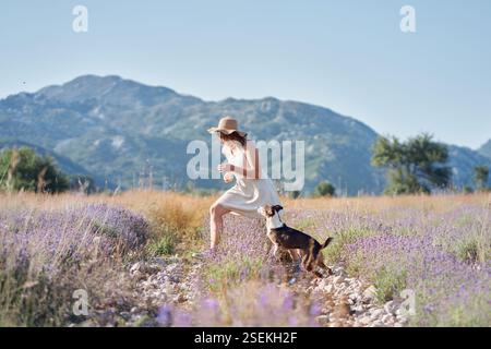 Ein Mädchen in einem weißen Kleid rennt fröhlich mit ihrem Hund durch ein Lavendelfeld unter klarem Himmel. Die lebendigen Blumen und die Bergkulisse tragen zu der hinzu Stockfoto