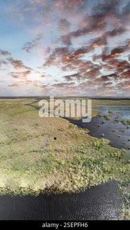 Luftaufnahme eines Baches und der Sümpfe in den Florida Everglades, USA, Nordamerika Stockfoto