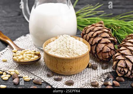 Zedernmehl in einer Schüssel, Nüssen und zwei Kegeln, Löffel mit geschälten Nüssen auf Burlap, grünem Zweig und Zedernmilch in einer Kanne auf dem Hintergrund dunkler Holzplatten Stockfoto