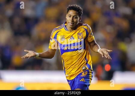 Monterrey, Mexiko. Februar 2025. LIGA BBVA MX 6. Runde Spiel zwischen UANL Tigres und Atlas bei EstÃ¡dio UniversitÃ¡rio. #77 Angreifer Tigres, Ozziel Herrera feiert das zweite Tor seiner Mannschaft. Obligatorischer Credit: Toby Tande/PXImages (Credit Image: © Toby Tande/PX Imagens via ZUMA Press Wire) NUR REDAKTIONELLE VERWENDUNG! Nicht für kommerzielle ZWECKE! Stockfoto