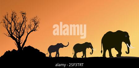 Silhouette von drei Elefanten, die bei Sonnenuntergang spazieren. Stock Vektor
